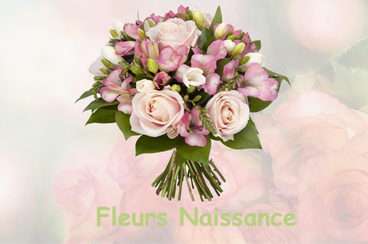 fleurs naissance TETHIEU