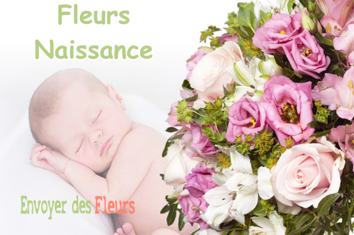 lIVRAISON FLEURS NAISSANCE à TETHIEU